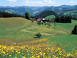 << Emmental >>